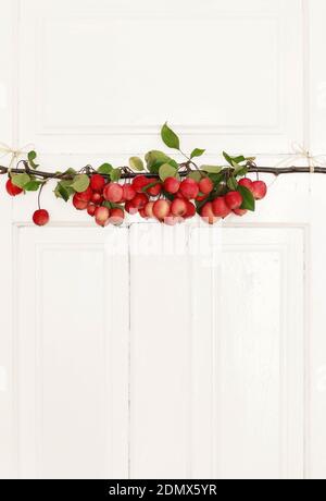 Décoration de porte d'automne faite de pommes de paradis (moulin de Malus pumila), espace de copie, art de couverture Banque D'Images