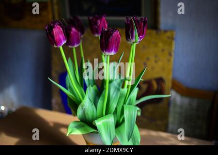 Bouquet de tulipes violettes fraîches dans vase en verre, fleurs magnifiquement illuminées par la lumière du soleil, arrière-plan flou Banque D'Images