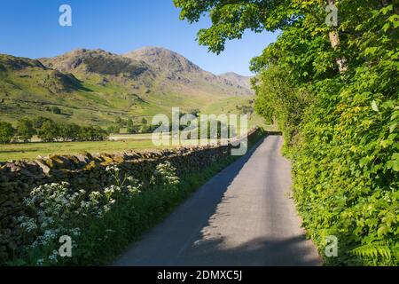 Little Langdale, Cumbria, Angleterre. Vue le long de l'étroite route de campagne jusqu'au sommet de Wetherlam, printemps. Banque D'Images