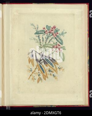 Design ornemental avec petites fleurs rouges et baies, de Nouvelle suite de cahiers de Fleurers naturelle a l'usage des dessineurs et des tourres, No.1, Jean-Baptiste Pillement, français, 1728–1808, Anne Allen, anglais, active France, ca. 1750–1810, Etching avec des encres colorées à la poupé sur du papier crème à bout de papier crème, motif floral. Niveau supérieur: Petites fleurs rouges avec des feuilles vertes; niveau inférieur: Baies bleues avec des feuilles jaunes, vertes et brunes ressemblant à des plumes., France, après 1775, ornement, Imprimer Banque D'Images