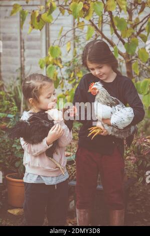 Deux petites filles en haut et un pantalon tenant trois cockerels Banque D'Images