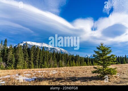 Natural forest grassland scenery, unmelted snow on the autumn meadow. Snow capped mountains with blue sky and white clouds in the background. Canmore, Stock Photo
