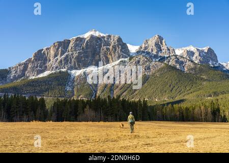 Parc de Quarry Lake, plage de montagne sereine et parc pour chiens à la fin de la saison d'automne, journée ensoleillée le matin. Mont Rundle enneigé avec ciel bleu Banque D'Images