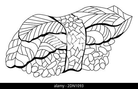 Zentangle dessiné à la main avocat nigiri pour colorier, pour t-shirt et autres décorations Illustration de Vecteur