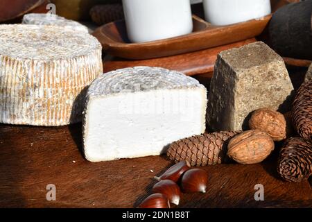 Fromages artisanaux de différents types sur peau de chèvre et entourés de noix. Banque D'Images