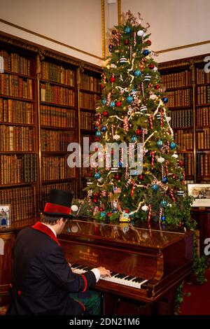 UK, England, Derbyshire, Edensor, Chatsworth House at Christmas, Ante-Library, uniformed man playing Steinway piano Stock Photo