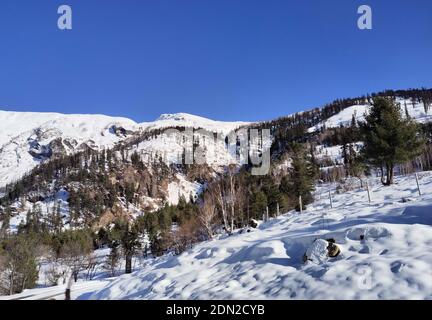 Manali, Himachal Pradesh, Inde, 17 décembre 2020: Une vue sur la montagne enneigée après une chute de neige fraîche dans la station de colline Manali. Crédit : Sumit Saraswat/Alay Live News Banque D'Images