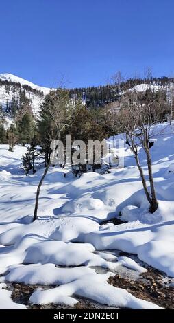 Manali, Himachal Pradesh, Inde, 17 décembre 2020: Une vue sur la montagne enneigée après une chute de neige fraîche dans la station de colline Manali. Crédit : Sumit Saraswat/Alay Live News Banque D'Images