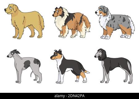 Cute cartoon dog breed set vector clipart. Pedigree kennel rough collie, golden retriever for dog lovers. Purebred greyhound smooth collie and borzoi Stock Vector