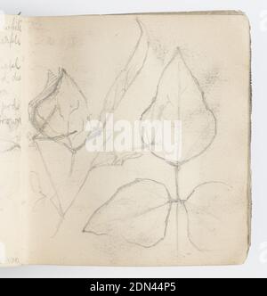 Page d'esquisse : Etude des feuilles, Kenyon Cox, cuisine américaine, 1856–1919, Graphite sur papier, esquisse d'un groupe de trois feuilles attachées à une seule tige, à droite; à gauche, esquisses de feuilles., États-Unis, 1874, albums (relié) et livres, folio d'esquisse, folio d'esquisse Banque D'Images