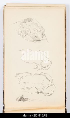 Sketchbook page, Kenyon Cox, American, 1856–1919, Graphite sur papier, Sketches of frogs or toads., USA, 1875, albums (Bound) & books, Sketchbook folio, Sketchbook folio Banque D'Images