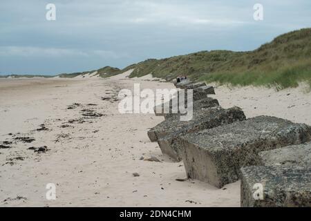 Les pièges en béton de la deuxième Guerre mondiale sont toujours en place le long Le littoral de la Northumbria Banque D'Images