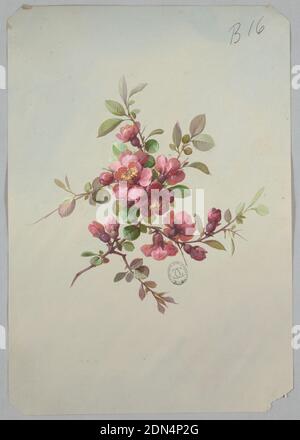 Design pour le papier peint et les textiles: Fleurs, pinceau et gouache sur papier crème, grappe de fleurs et de fleurs roses et rouges entourées de feuillage au centre de la page., France, 19e siècle, dessins de papier peint, dessin Banque D'Images