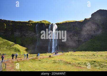 Les visiteurs marchent le long d'un chemin à travers les champs menant à une falaise et la cascade Seljalandsfoss dans le sud de l'Islande, juste à côté du périphérique. Banque D'Images