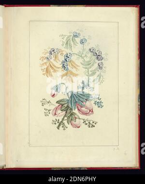 Design ornemental à petites fleurs bleues, de Nouvelle suite de cahiers de Fleurers naturelle a l'usage des dessineurs et des tourres, n° 1, Jean-Baptiste Pillement, français, 1728–1808, Anne Allen, anglais, active France, ca. 1750–1810, Etching avec des encres de couleur à la poupé sur du papier crème à bout de papier crème, motif floral, tige et feuilles alternent, de haut en bas, de vert mousse, jaune moutarde, sarcelle, au vert olive. Centre supérieur : quatre grappes de petites fleurs, pourpres et bleues. Centre inférieur : quatre grands boutons rougeâtres, France, après 1775, ornement, Imprimer Banque D'Images