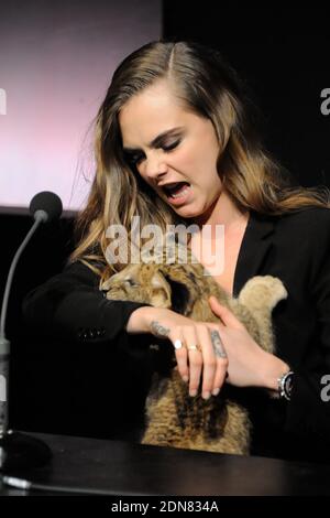 Cara Delevingne pose avec un lion cub dans ses bras lors de la conférence de presse pour annoncer qu'elle est le nouveau visage de la campagne Tag Heuer aux Beaux Arts de Paris, France, le 23 janvier 2015. Photo par ABACAPRESS.COM Banque D'Images