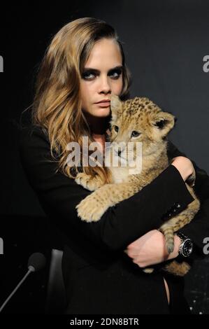 Cara Delevingne pose avec un lion cub dans ses bras lors de la conférence de presse pour annoncer qu'elle est le nouveau visage de la campagne Tag Heuer aux Beaux Arts de Paris, France, le 23 janvier 2015. Photo par ABACAPRESS.COM Banque D'Images