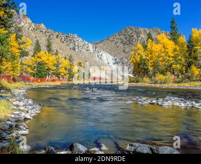 Couleurs d'automne le long de la rivière grand trou près de diviser, Montana Banque D'Images