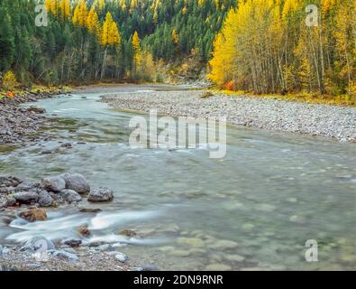 couleurs d'automne le long de la rivière à tête plate de la fourche centrale au confluent avec bear creek près d'essex, montana Banque D'Images