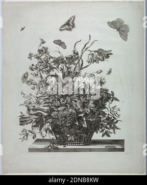 Assiette 10, de la série de fleurs dans un panier, Jean-Baptiste Monnoyer, (français, 1636–1699), Etching sur papier blanc, tulipes, narcisses, anémones, pivoines, etc. Dans un panier. Quatre papillons et une abeille survolant; ci-dessous dans la table, à droite: Une chenille, au centre une mouche., France et Angleterre, ca. 1680, études de la nature, Imprimer Banque D'Images