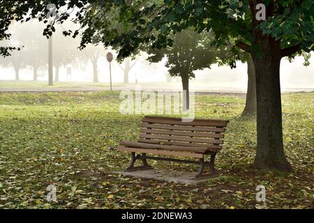 Un banc de parc vide se trouve sous un arbre à feuilles caduques avec feuilles tombées sur le sol dans un parc de la ville à Sussex Nouveau-Brunswick Canada Banque D'Images