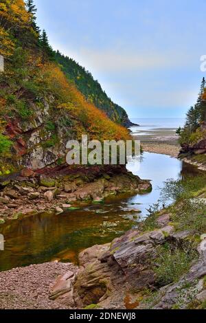 Image verticale de la côte est montrant l'eau du Point Wolfe rivière qui coule à travers les formations de roches rouges et Dans la baie de Fundy par cette voie Banque D'Images