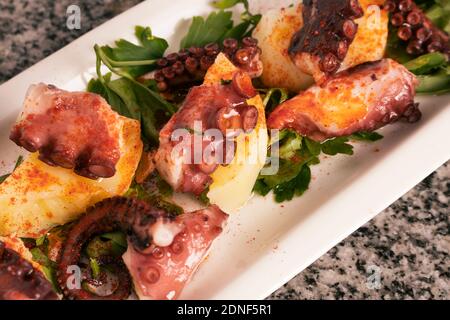 Plateau allongé avec octopus galicien, avec pommes de terre, paprika, huile d'olive sur fond de granit rustique. Concept de cuisine ethnique espagnole. Banque D'Images