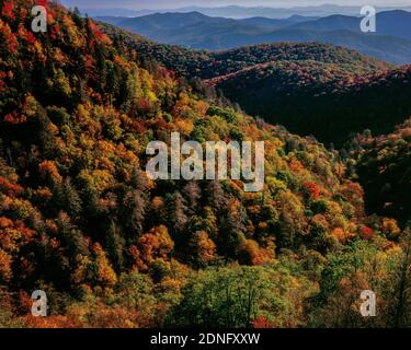 Couleur d'automne, East Fork, Pigeon River Overlook, Blue Ridge Parkway, Pisgah National Forest, Caroline du Nord Banque D'Images