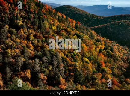 Couleur d'automne, à l'Est donnent sur la rivière Pigeon, fourche, Blue Ridge Parkway, Pisgah National Forest, North Carolina Banque D'Images