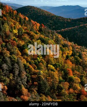 Couleur d'automne, à l'Est donnent sur la rivière Pigeon, fourche, Blue Ridge Parkway, Pisgah National Forest, North Carolina Banque D'Images