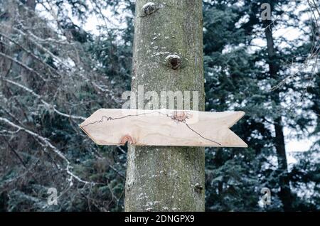 Flèche en bois de sapin accrochée à un arbre Banque D'Images