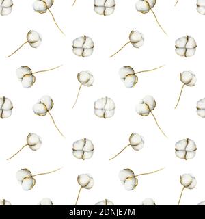 Motif aquarelle sans couture avec coton sur fond clair. Illustration d'aquarelle botanique. Banque D'Images