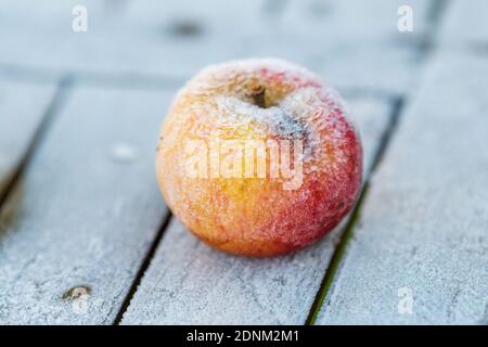 Pomme dépolie sur une table en bois Banque D'Images