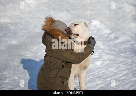 Une fille en vêtements d'hiver encroise un grand chien blanc sur fond de neige blanche. Le concept de l'amitié avec les animaux. Banque D'Images