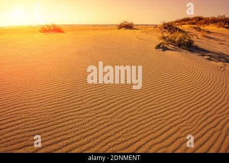 Sunset in the desert. Wave lines in the sand at the empty beach in the evening Banque D'Images