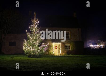 Arbre de Noël devant un cottage en pierre de Cotswold avec des lumières de Noël la nuit. Guitting Power, Cotswolds, Gloucestershire, Angleterre Banque D'Images