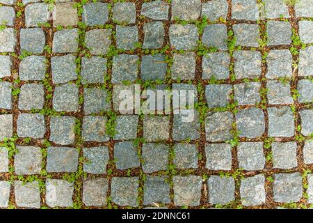 Pavés carrés gris avec une petite herbe verte entre les rangées. Banque D'Images