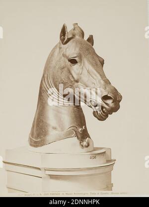 Tête de cheval, bronze antique, Museo Archeologico, Florence, papier albumine, procédé positif noir et blanc, taille de l'image: Hauteur: 25,00 cm; largeur: 19,30 cm, FIRENZE. - R. Museo Archeologico. Testa di Cavallo. (Bronzo antico.), sculpture, sculpture, art de sculpture, cheval Banque D'Images
