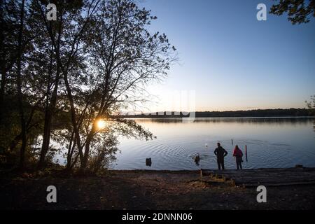 Promenez-vous dans la forêt de Raismes-Saint Amand Wallers, le Parc naturel régional de Scarpe-Escaut (nord de la France). Couple marchant un chien au coucher du soleil Banque D'Images