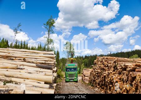 Camion sur piste de terre Banque D'Images