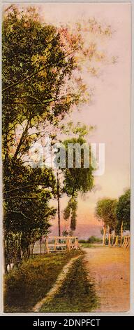 Oscar Hofmeister, Theodor Hofmeister, Nordwestdeutscher Kunstverlag G.bm. .H, chemin à travers un pont en bois, Staatliche Landesbildstelle Hamburg, collection sur l'histoire de la photographie, carton, collotype, Total: Hauteur: 6,90 cm; largeur: 15,80 cm, Verlag, Drucksache, série 1905, photographie de voyage, photographie de paysage, aduct, paysage tempéré, paysage ou pont Banque D'Images