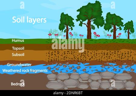 Couches de sol. Schéma de la couche de sol. Plan de sol avec herbe, terre, eau souterraine et pierres. Section transversale des couches de sol souterraines en dessous. Vecteur Illustration de Vecteur