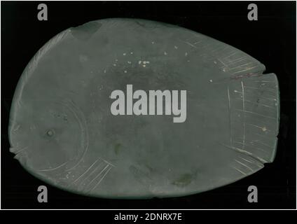 Palette de maquillage sous forme de tilapia, ardoise, battue, retouchée (travail de pierre), lisse, forée, graywacke, Total: Hauteur: 26.5 cm; largeur: 39 cm; profondeur: 2.5 cm; profondeur: 2 cm (assiette), objets rituels et accessoires, articles de tombe, poissons (animaux), la palette de maquillage a la forme d'un tilapia poisson (cichlid) l'épaisseur de la plaque est conique au bord par meulage des deux côtés. La tête du poisson a une bouche légèrement protubérante, l'œil est indiqué par une dépression hémisphérique et a été une fois probablement rempli d'une masse de couleur différente. Banque D'Images