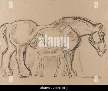 Gustav Heinrich Wolff, jument avec foal, dessin de charbon de bois, papier, dessin, charbon de bois sur papier gris, total: Hauteur: 28.4 cm; largeur: 35.5 cm, verso signé en crayon en bas à droite: Wolff, dessin, graphique, esquisses, animaux, Cheval, Classique moderne Banque D'Images