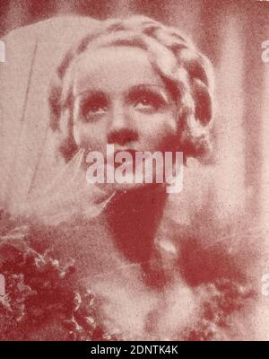 Photographie de Marlene Dietrich (1901-1992) actrice et chanteuse germano-américaine. Banque D'Images