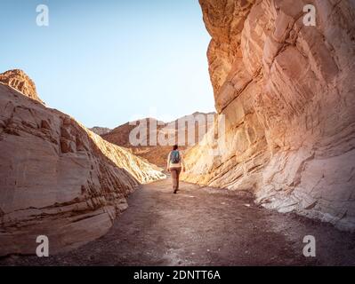 Vue arrière d'un randonneur féminin, parc national de la Vallée de la mort, Californie, États-Unis Banque D'Images