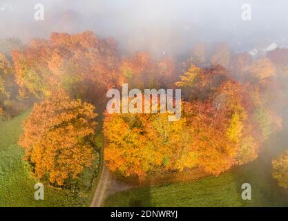 Forêt d'automne dans le brouillard d'en haut, près de Weilheim, Fünfseenland, haute-Bavière, Bavière, Allemagne, Europe Banque D'Images