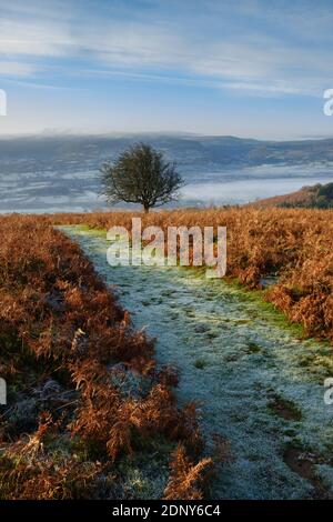 Frost covered footpath on the south side of the Sugar Loaf mountain. Stock Photo