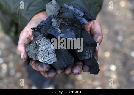 Les brûleurs de charbon de bois passent par un processus intensif de main-d'œuvre pour faire les morceaux de fusain.mereworth bois terres dans kent, Royaume-Uni. Banque D'Images