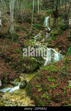 Le ruisseau Coccavone coule parmi les feuilles mortes d'érable et de hêtre. Abruzzes, Italie, Europe Banque D'Images